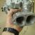 1969 Volkswagen Bug - performance enhanced engine and suspension by ACE