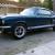 1966 Mustang Fastback 2+2 GT350 Shelby Restored Midnight Blue Tribute