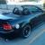 Ford : Mustang SVT Cobra Convertible 2-Door