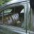 Packard : SUPER 8  BARE METAL CLEARCOAT - AWESOME PATINA