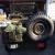 Willys : M38