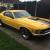 1970 FORD MUSTANG MACH 1 FASTBACK WITH ALL THE EXTRA'S