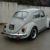 1969 Volkswagen 1500 Delux - Amazing Only 3 Owners From New - Immaculate