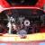 Could Make Show Car, Over $18,000 Spent To Make Nice