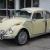 1971 VW Insect Different Beetle
