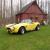 1965 Shelby Cobra 427SC roadster replica. Show it or ride with the wind
