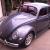 1956 oval window beetle