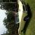 1966 Pontiac GTO Clone (Tempest)