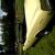 1966 Pontiac GTO Clone (Tempest)