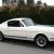 1965 FORD MUSTANG FASTBACK GT 350 SHELBY TRIBUTE  289 AUTOMATIC   RESTORED